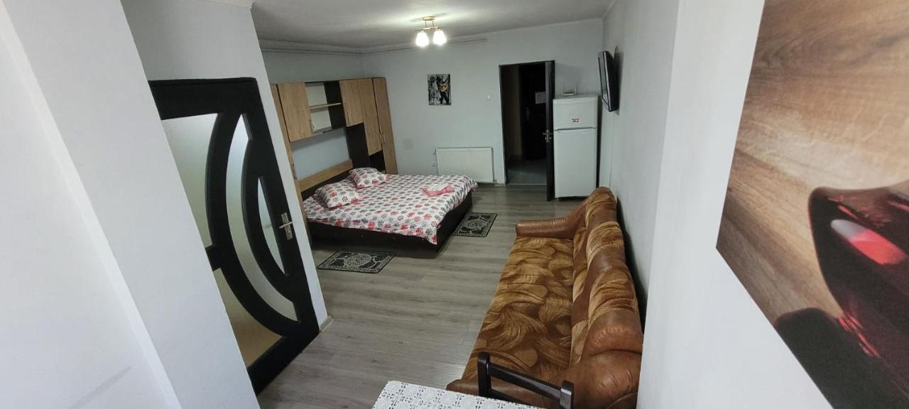 Flora Apartament Leilighet Satu Mare Eksteriør bilde